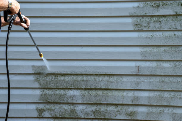 Best Basement Cleanout  in Wilson, PA
